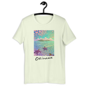 Turtle Tonaki Island Okinawa